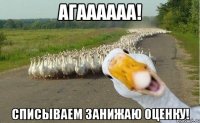 агаааааа! списываем занижаю оценку!