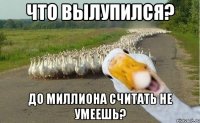 что вылупился? до миллиона считать не умеешь?