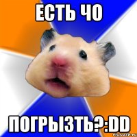 есть чо погрызть?:dd