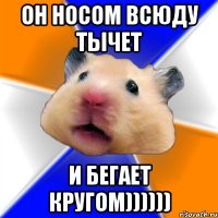 он носом всюду тычет и бегает кругом))))))