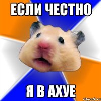 если честно я в ахуе