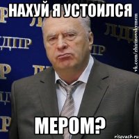 нахуй я устоился мером?