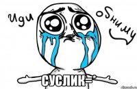  суслик=*