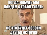 когда-нибудь мы пойдем с тобой гулять но это будет совсем другая история