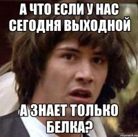 а что если у нас сегодня выходной а знает только белка?