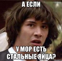 а если у мор есть стальные яйца?