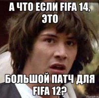 а что если fifa 14, это большой патч для fifa 12?