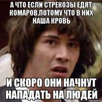 а что если стрекозы едят комаров,потому что в них наша кровь и скоро они начнут нападать на людей