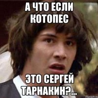 а что если котопес это сергей тарнакин?...