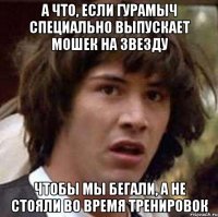 а что, если гурамыч специально выпускает мошек на звезду чтобы мы бегали, а не стояли во время тренировок