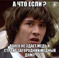 а что если ? ванек не здает медь а строит загородний медный дом?