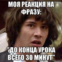 моя реакция на фразу: "до конца урока всего 30 минут"