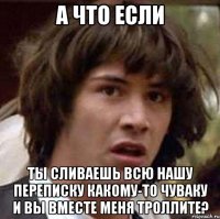 а что если ты сливаешь всю нашу переписку какому-то чуваку и вы вместе меня троллите?