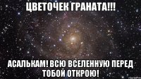 цветочек граната!!! асалькам! всю вселенную перед тобой открою!