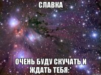 славка очень буду скучать и ждать тебя:*