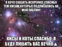 я хочу сказать искреннее спасибо тем кисам,которые подписались на мой паблик! кисы и коты,спасибо, я буду любить вас вечно▲