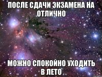 после сдачи экзамена на отлично можно спокойно уходить в лето