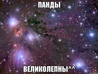 панды великолепны^^