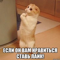  если он вам нравиться ставь лайк!