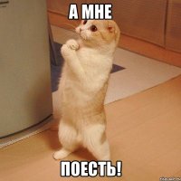 а мне поесть!