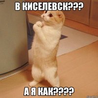 в киселевск??? а я как???