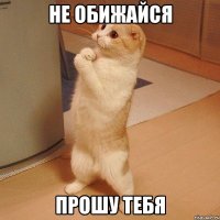 не обижайся прошу тебя