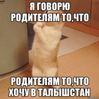 я говорю родителям то,что родителям то,что хочу в талышстан