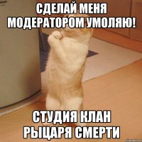 сделай меня модератором умоляю! студия клан рыцаря смерти