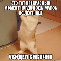 это тот прекрасный момент когда подымаясь по лестнице увидел сисички