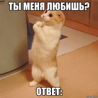 ты меня любишь? ответ: