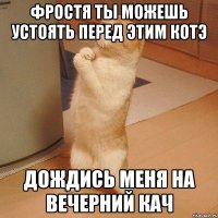 фростя ты можешь устоять перед этим котэ дождись меня на вечерний кач