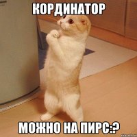 кординатор можно на пирс:?