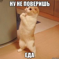 ну не поверишь еда