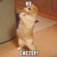 ну систер!