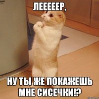 лееееер, ну ты же покажешь мне сисечки!?