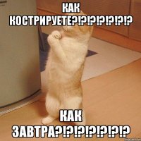 как кострируете?!?!?!?!?!?!? как завтра?!?!?!?!?!?!?