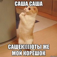 саша саша сашек))))0ты же мой корешок