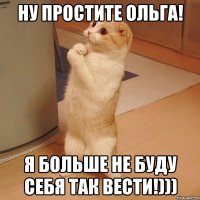 ну простите ольга! я больше не буду себя так вести!)))