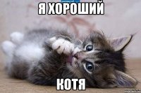 я хороший котя