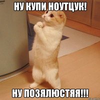 ну купи ноутцук! ну позялюстяя!!!