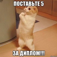 поставьте 5 за диплом!!!