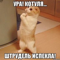 ура! котуля... штрудель испекла!