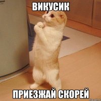 викусик приезжай скорей