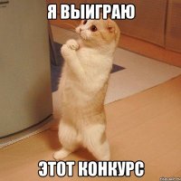 я выиграю этот конкурс