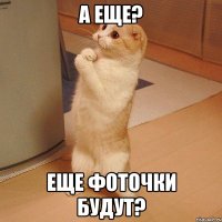 а еще? еще фоточки будут?