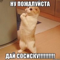 ну пожалуйста дай сосиску!!!