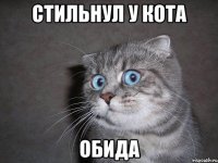 стильнул у кота обида