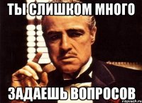 ты слишком много задаешь вопросов