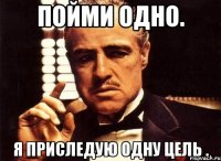 пойми одно. я приследую одну цель .