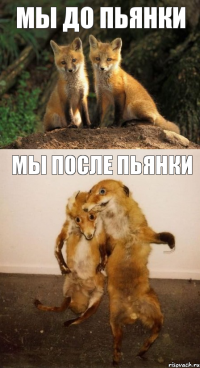 Мы до пьянки Мы после пьянки